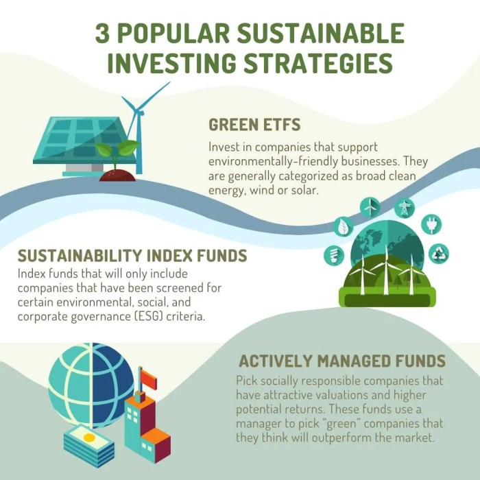 Investment esg sustainable sustainability examples factors funds assets why processes australia
