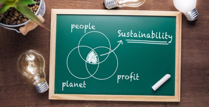 Financial benefits of sustainable investing practices