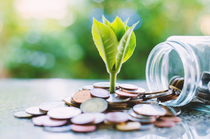 Financial benefits of sustainable investing practices